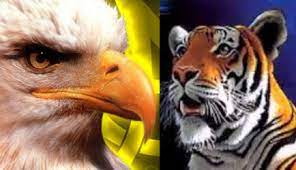 Águilas y Tigres 