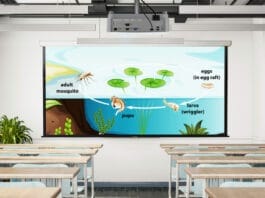 ViewSonic lanza proyector educativo versátil PA504W