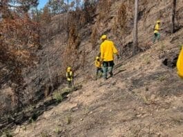 Los incendios forestales se han reducido un 58 % en primer cuatrimestre