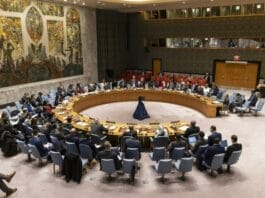 Renovación de Miembros del Consejo de Seguridad de la ONU: Una Perspectiva Profunda