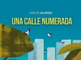 Novela 'Una calle numerada': La década perdida desde un barrio de Santo Domingo
