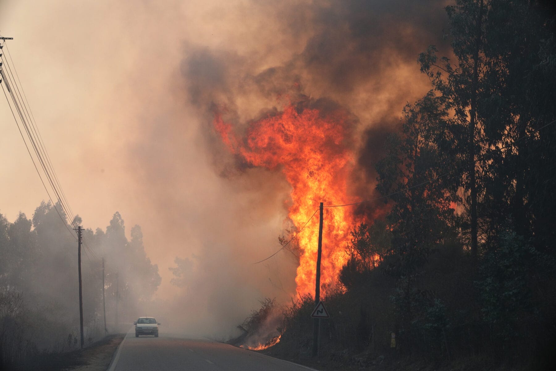 O alegado autor de um dos incêndios da semana passada em Portugal foi detido