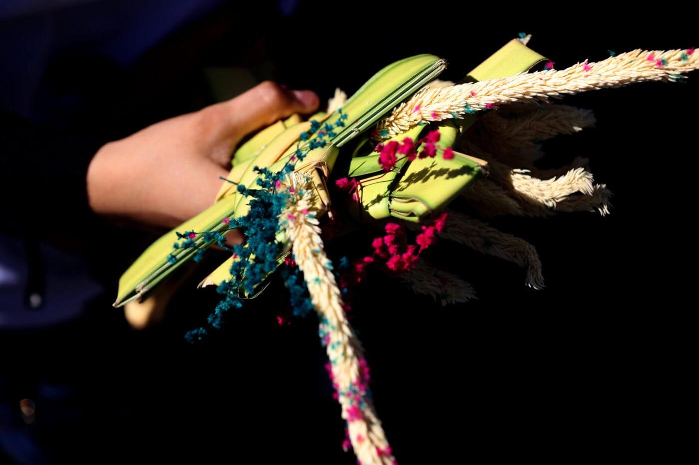 Con palmas y devoción, Nicaragua inicia la Semana Santa con la Procesión del Triunfo